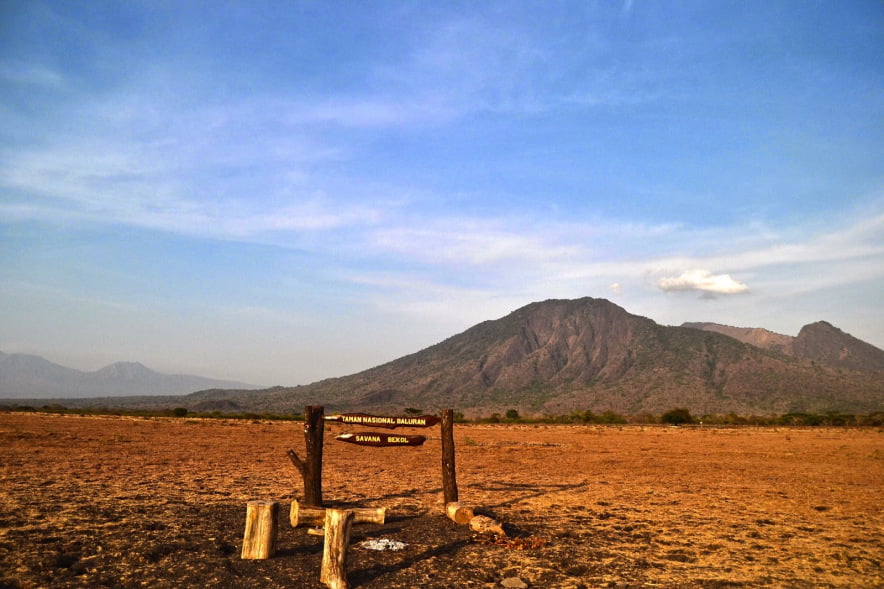 baluran.jpg