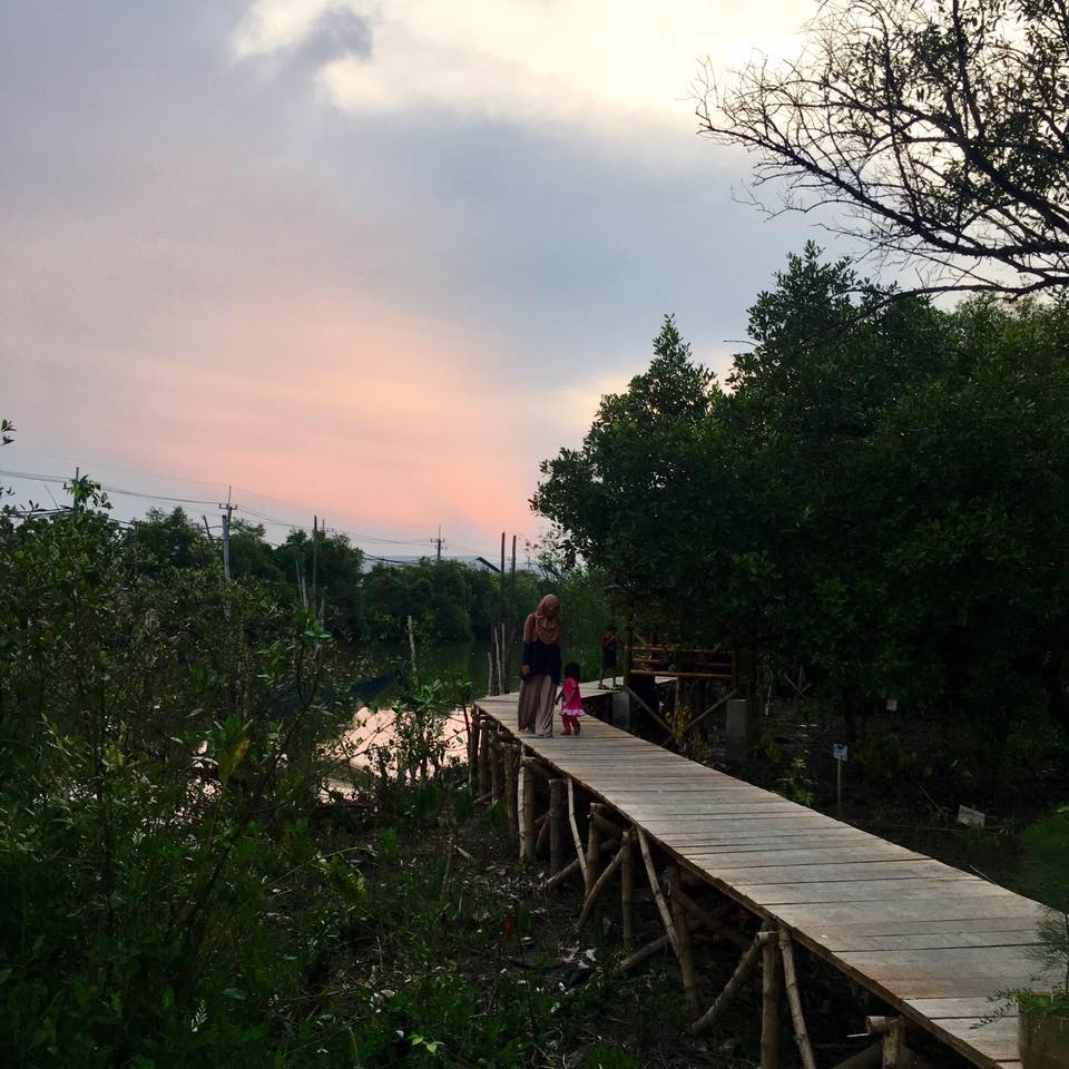 sore%2Bdi%2Bmangrove%2Bsukorejo%2Bkali%2Blamong.jpg