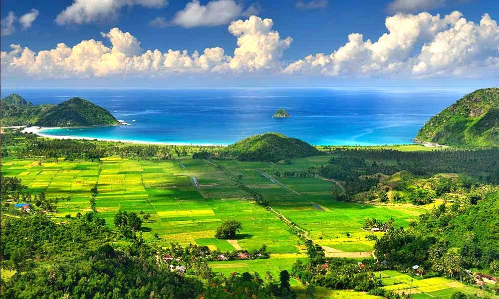 mandalika3.jpg