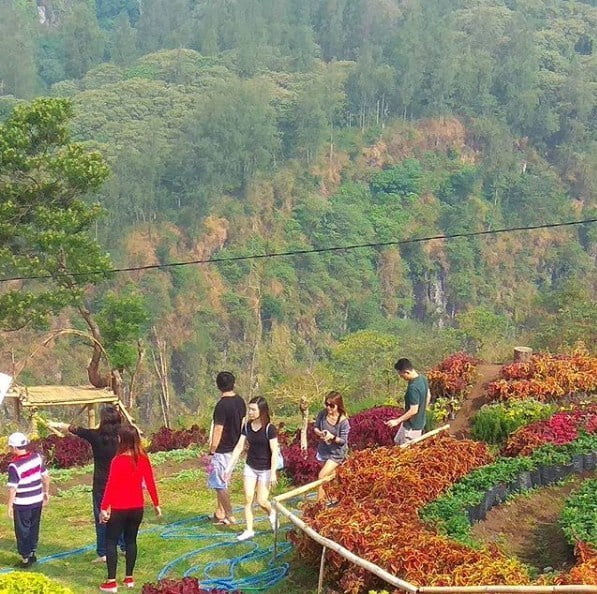 Pos%2BMasuk%2BWisata%2BAlam%2BSendi4.jpg