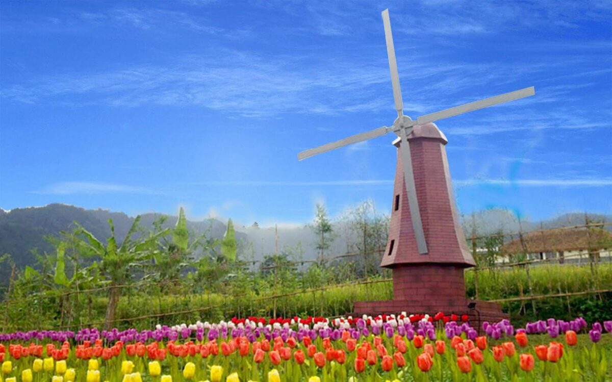 Small%2BWorld%2BPurwokerto.jpg