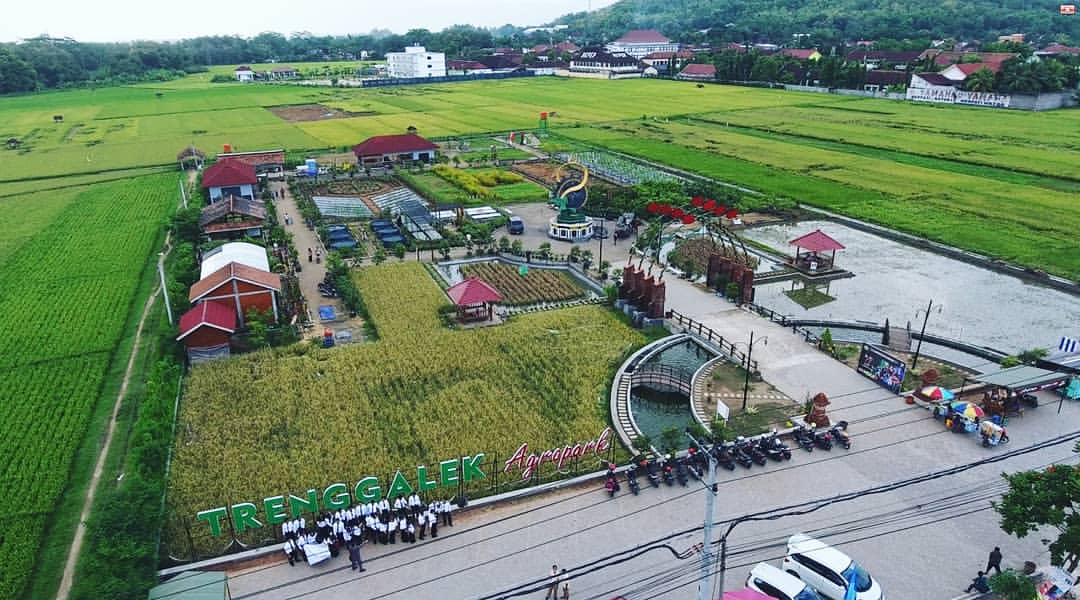 Agropark%2BTrenggalek5.jpg