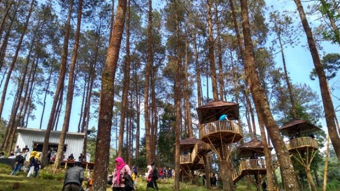 The Lawu Park Karanganyar, Penginapan + Wisata Alam