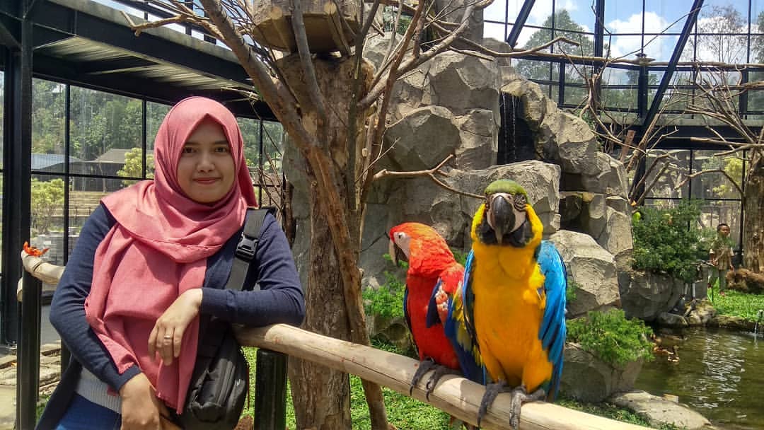 Waw. Bonbin Mini Lembang Park Zoo Bandung