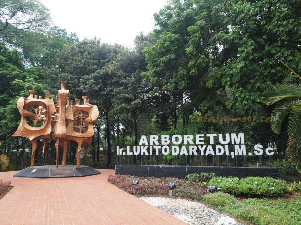 Arborea%2BCafe_012.JPG