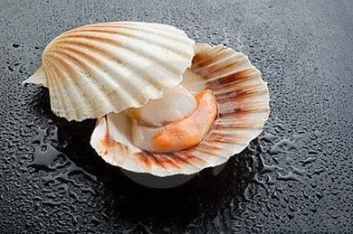 scallop%2Bpanggang%2Blemon.jpg
