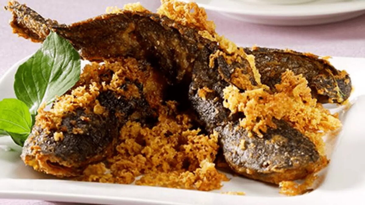 Lele%2BGoreng%2BRenyah%2Bdan%2BGurih%2B%25281%2529.jpg