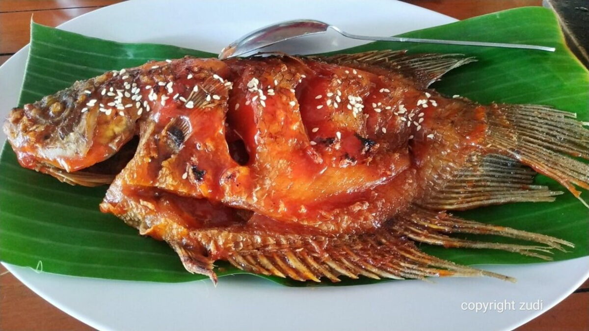 Honey%2BGrilled%2BFish%2B%25281%2529.jpg