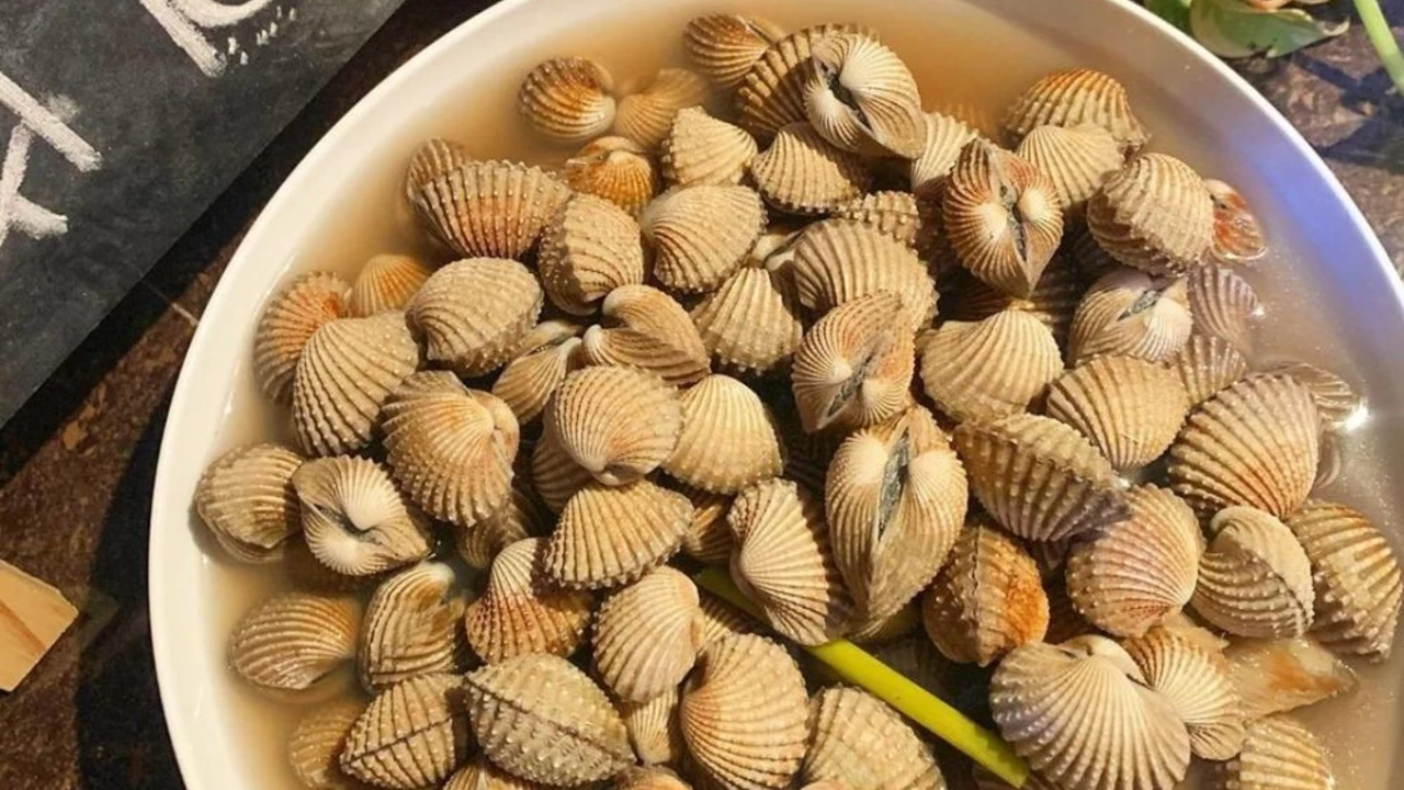 Resep kerang dara rebus saus kacang