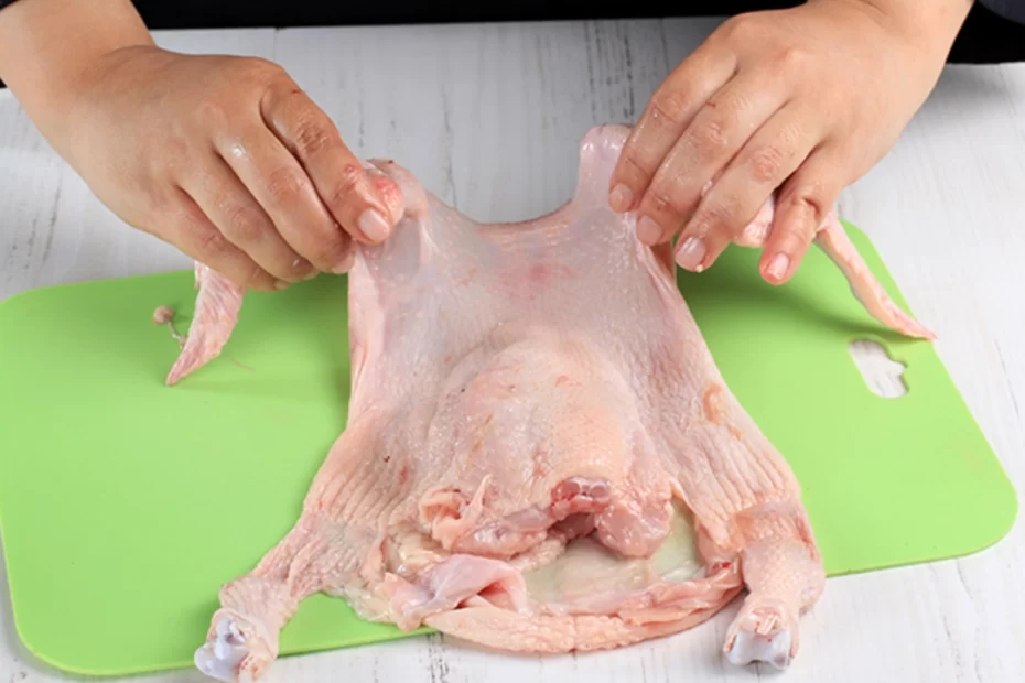 Ayam Kodok