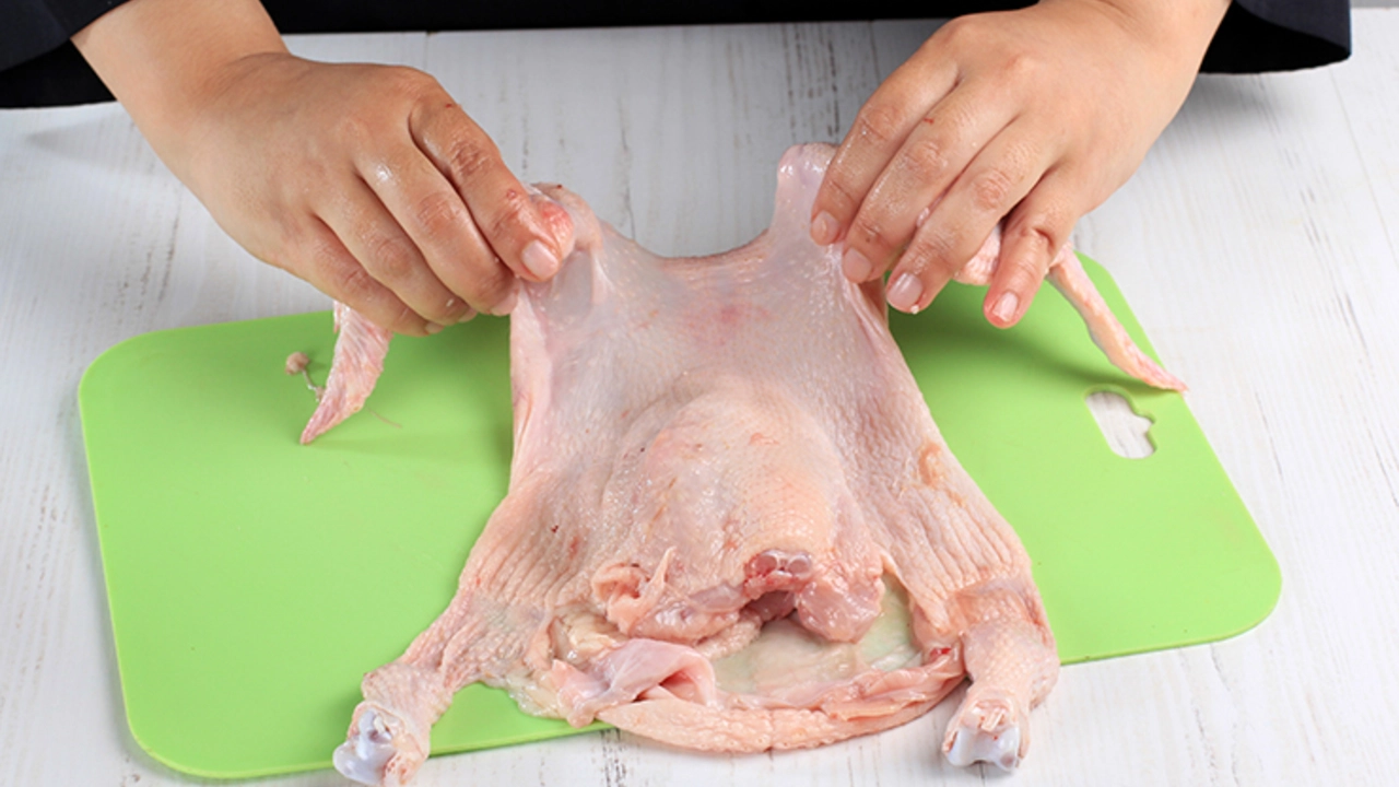 Ayam Kodok