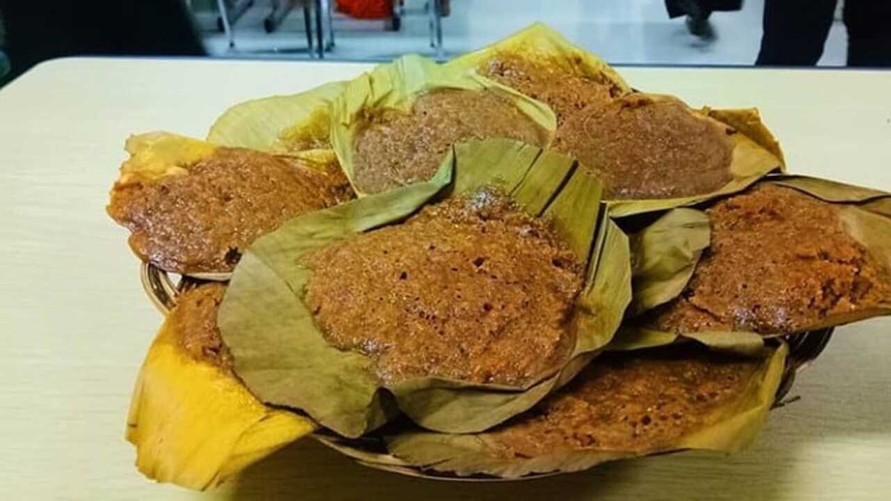 Apem Comal (1)