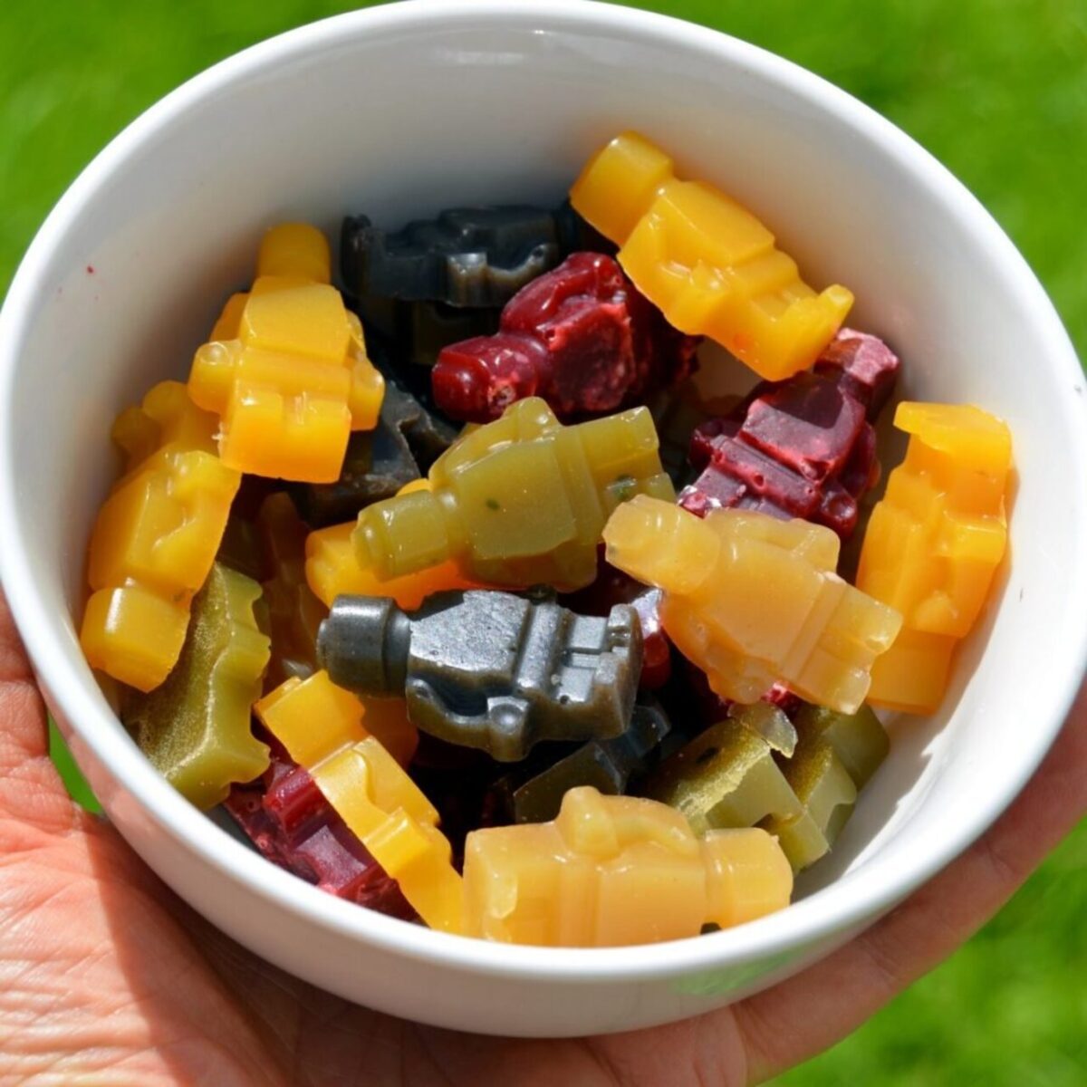 Jelly Seaweed Candy (1)