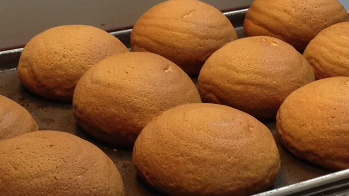 ROTI BUN OLES MOKA (1)
