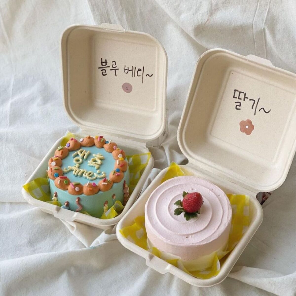 Dessert Bento Cake