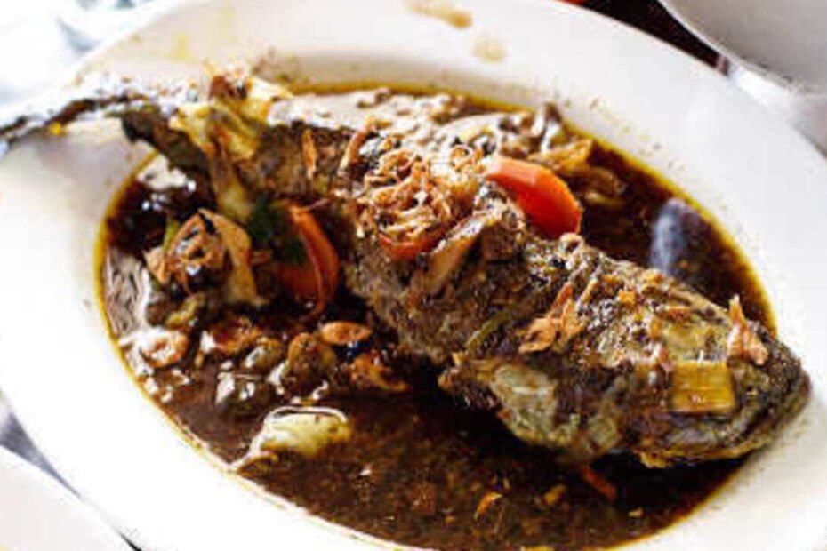 Ikan Gabus Pucung (1)