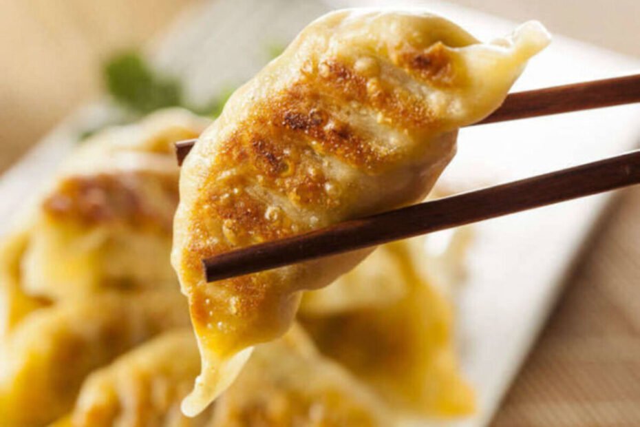 Gyoza (1)