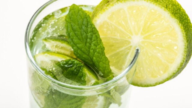 Lime Mint Fresh (1)