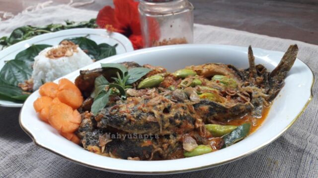 Lele Gulai Padang