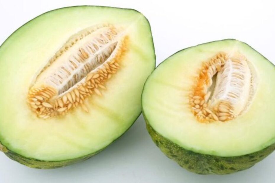 Es Buah Melon (1)