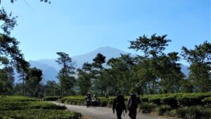 Wisata Gunung Anjasmoro
