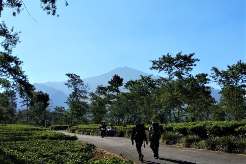 Wisata Gunung Anjasmoro
