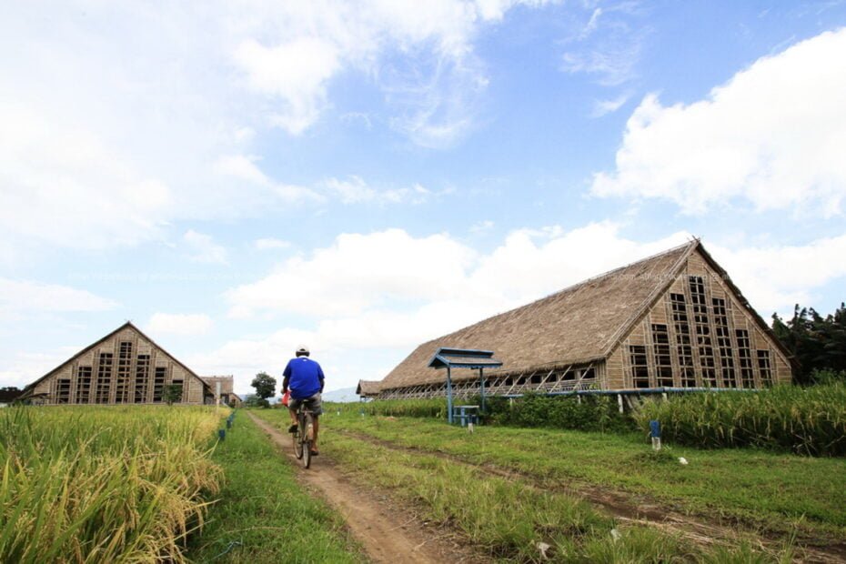Rumah Tembakau6 (1)