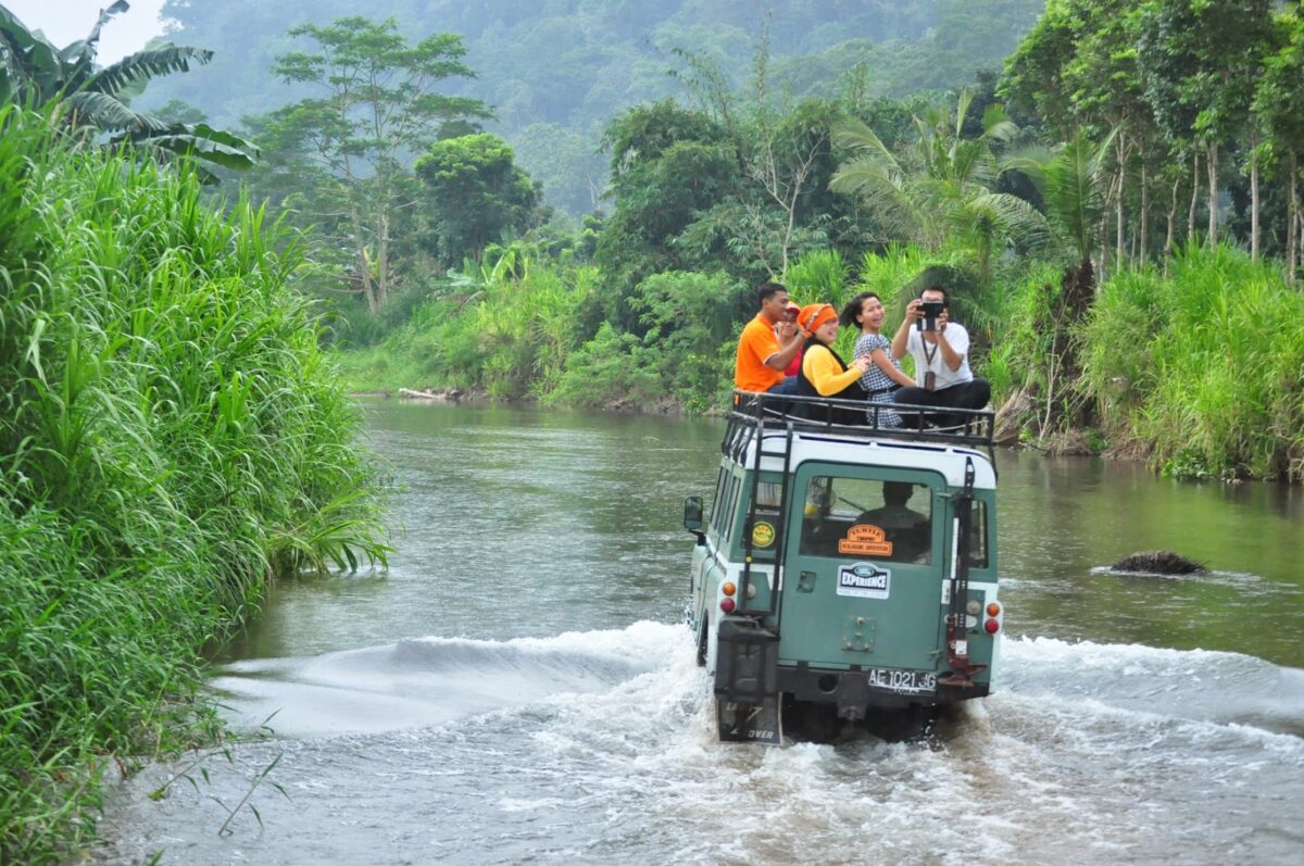 Tarik Wisata Taman Nasional Alas Purwo3