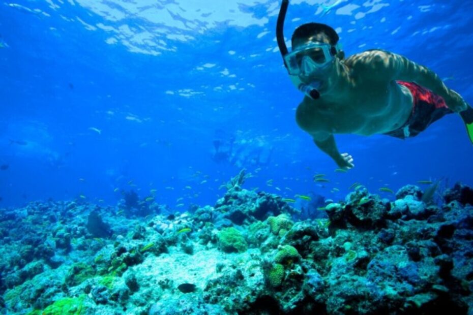 Wisata Teluk Kletekan 5 (1)