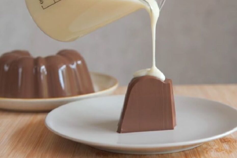 Silky Puding Cokelat (1)