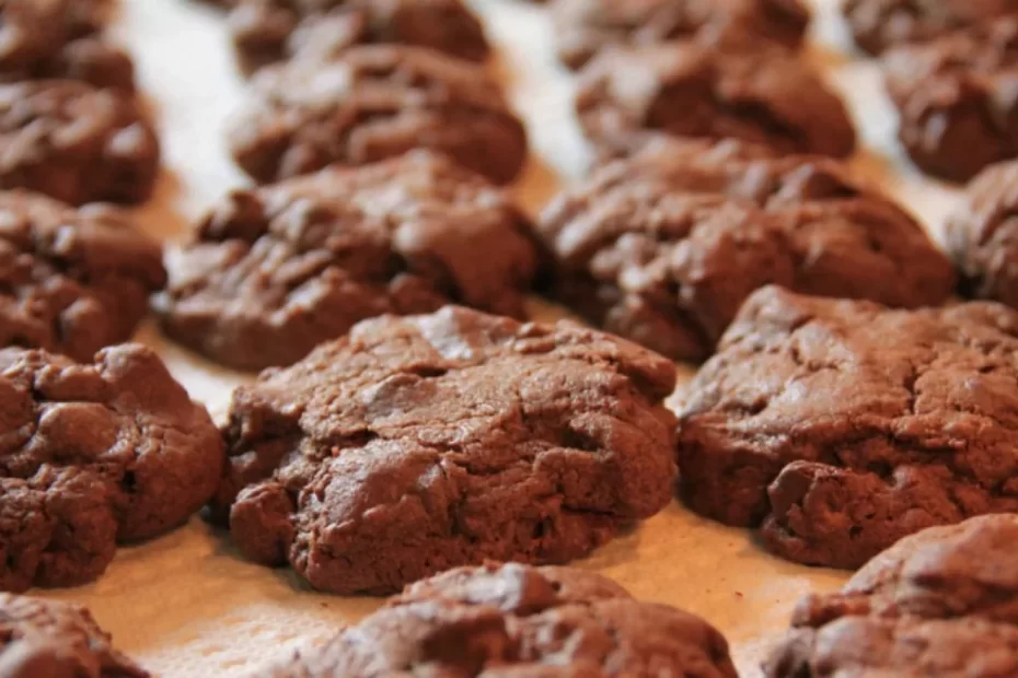 Kue Kering Marshmallow Choco Chips Cookies1