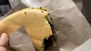 Terang Bulan Jadul2
