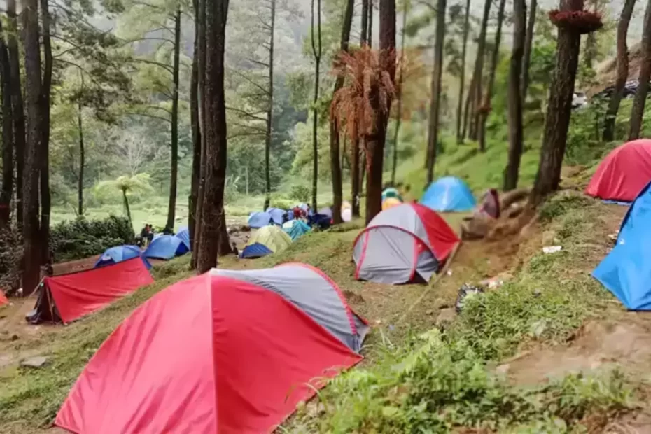Camping Air Terjun Dlundung Mojokerto6