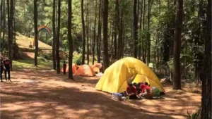 Camping Ledok Ombo Poncokusumo Batu4