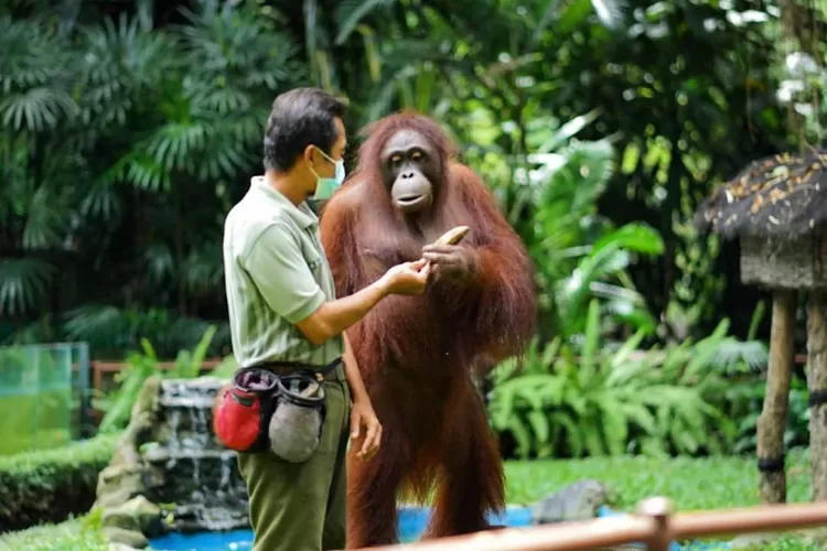 Gembira Loka Zoo1