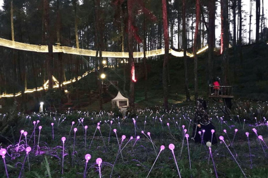 Orchid Forest Cikole6