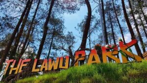 The Lawu Park9 (1)