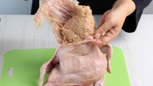 Ayam Kodok1 (1)