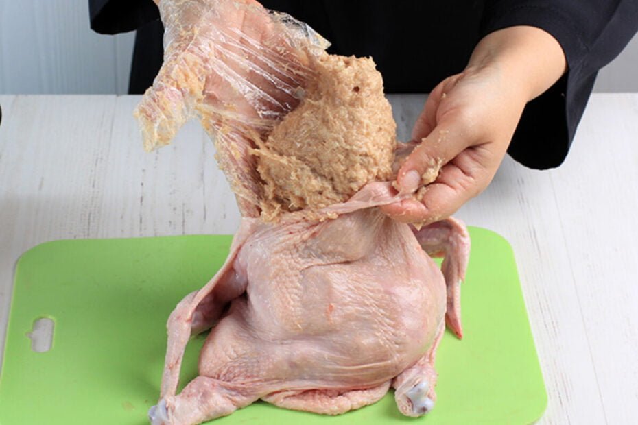 Ayam Kodok1 (1)