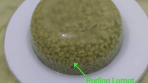 Puding Lumut