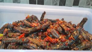 Belut Pedas Khas Tuban1 (1)