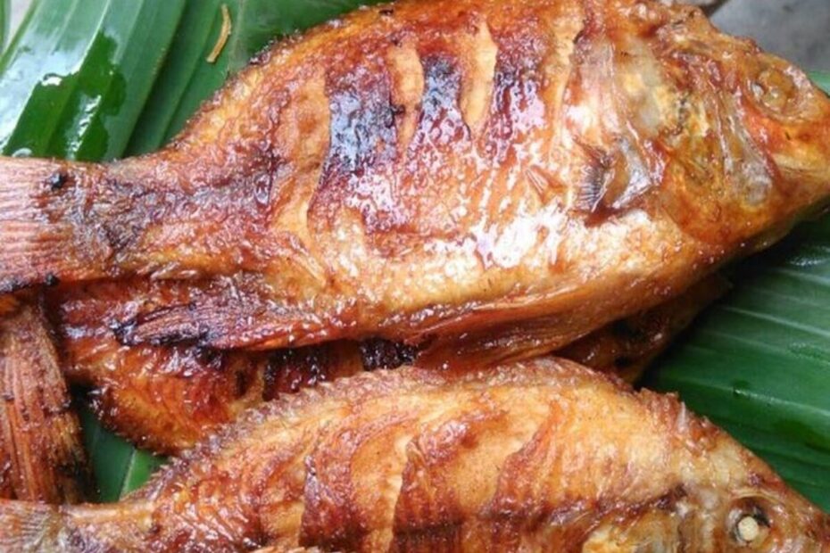 Ikan Bakar Jenis Nila (1)