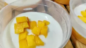 Resep puding mangga1