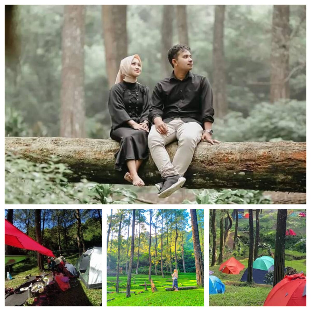 Blank 4 Grids Collage (1)