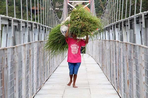 Jembatan Gantung dan Gondola Girpasang4