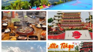 Little Tokyo Jogja (1)