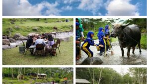 Wisata Ledok Sambi (1)