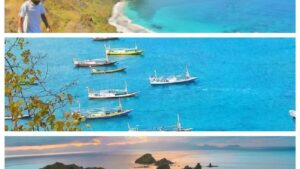 pulau kelapa bima