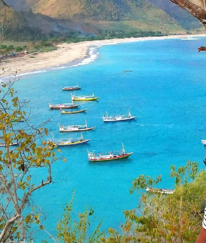 pulau kelapa bima5