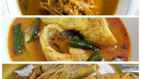 Gulee Eungkot Paya (1)